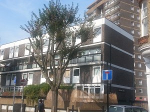 Photo pics dowloaded Nov 2014 1030