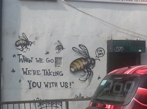 Photo pics dowloaded Nov 2014 1038